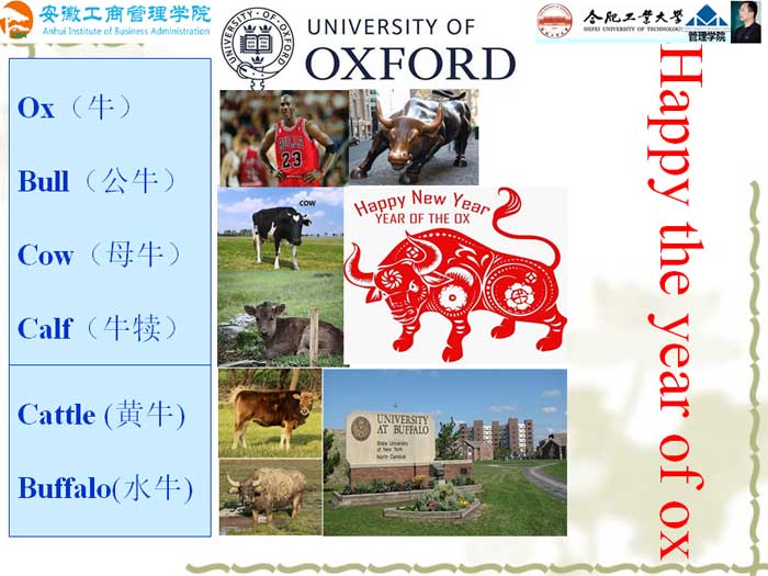 伟易博(中国区)官方网站