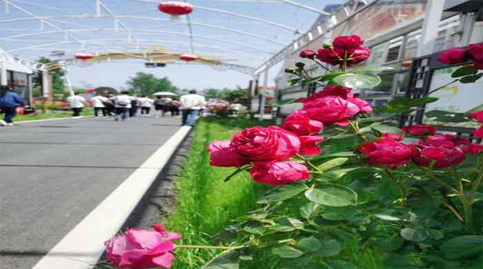 伟易博(中国区)官方网站