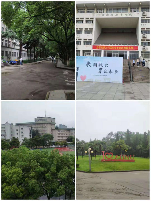 伟易博(中国区)官方网站