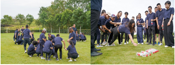 伟易博(中国区)官方网站