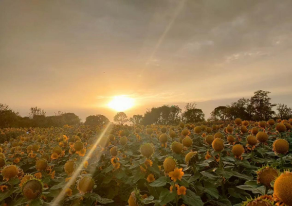 伟易博(中国区)官方网站