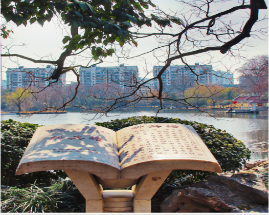 伟易博(中国区)官方网站