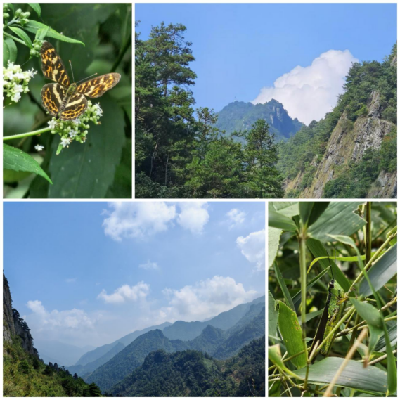 伟易博(中国区)官方网站